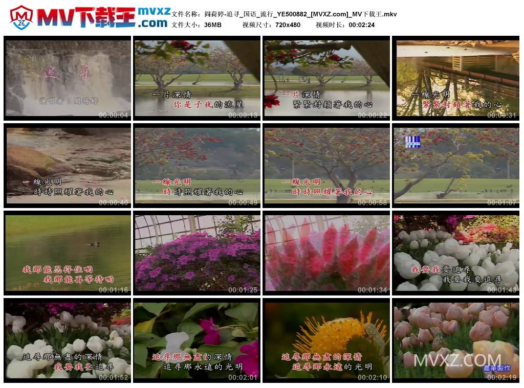 阎荷婷-追寻_国语_流行_YE500882